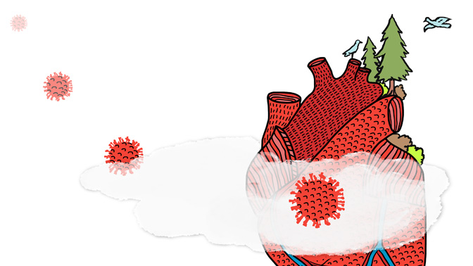 This is an image from this article.