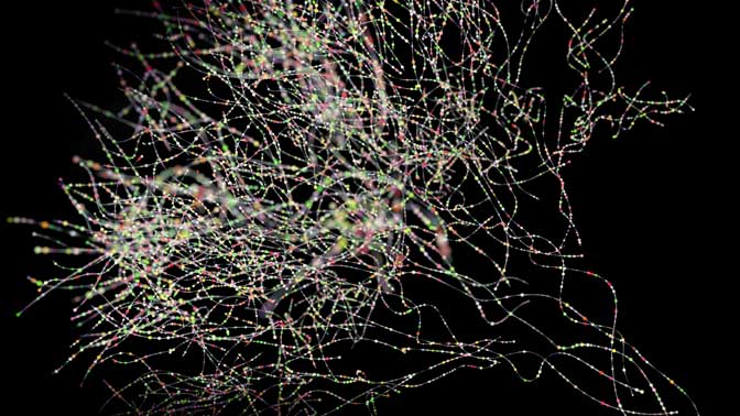 Neurons are cells of the brain and spinal cord that interconnect to form complex networks. The human brain has 1015 connectionsclose to the same number of neurons as there are stars in the Milky Way.