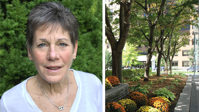 TGHRI Senior Scientist Dr. Sharon Walmsley is based at the Toronto General Hospital (pictured) where her research is focused on HIV infection.