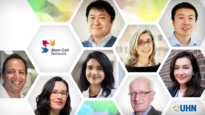 A selection of the UHN researchers involved in Stem Cell Network-funded projects. (L-R, top) Drs. Shinichiro Ogawa, Sara Vasconcelos and Bo Wang; (L-R, bottom) Karun Singh, Milica Radisic, Mamatha Bhat, Gordon Keller and Anastasia Tikhonova.