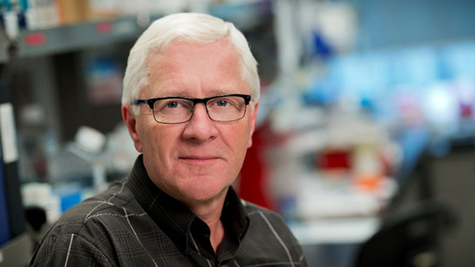 This is an image from this article.