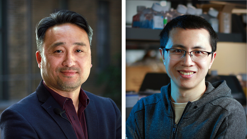 (L-R) Senior author, Dr. Tony Lam, and first author, Dr. Song-Yang Zhang.