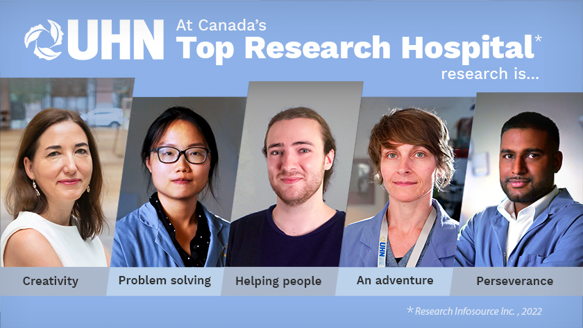 This is an image from this article.