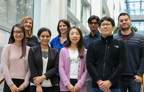 Top (L-R): Sara Rapic, Helena Boutzen, Muhammad Ahsan Siraj, Scott Rich.Bottom (L-R): Stephanie Poon, Nasim Montazeri, Jinhee Kim, Terunaga Inage.