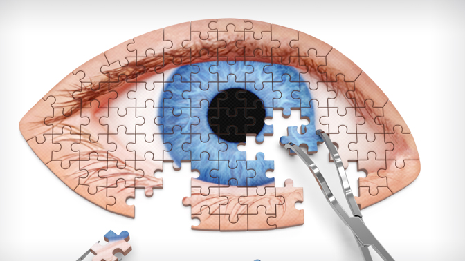 The assay developed by Dr. Wallace's team could help researchers piece together the factors that have limited the use of cell-based treatments for vision loss.
