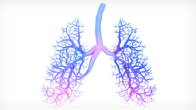 The airway in the lungs branches many times, each time getting smaller and making it more challenging to reach tumours for treatment.