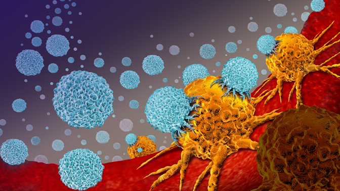Prostate cells, including their cancerous versions (orange cells in the illustration above), can be targeted by imaging agents (blue) that attach to specific molecules on the cell surface.