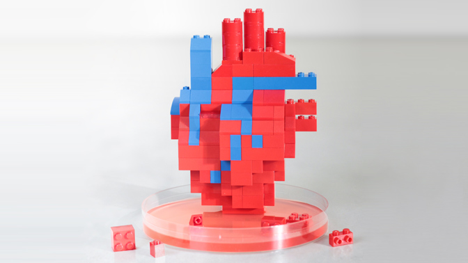 Therapies are being developed by BlueRock that involve coaxing stem cells into becoming specialized heart muscle cells, which are reintroduced into damaged hearts to restore function.