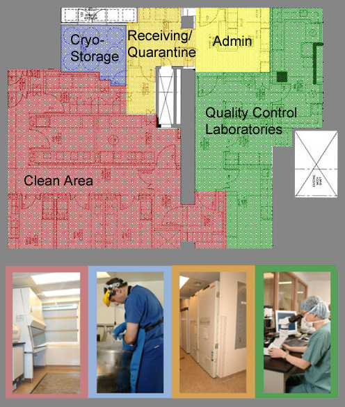 floorplan of Philip S. Orsino Cell Therapy Facility