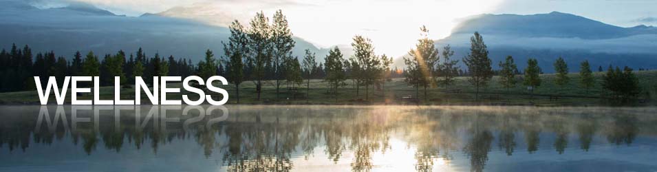 Scenic photo with a 'Wellness' word label