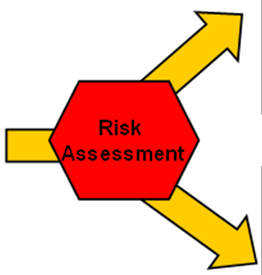 Risk assessment label with arrows going out from it icon