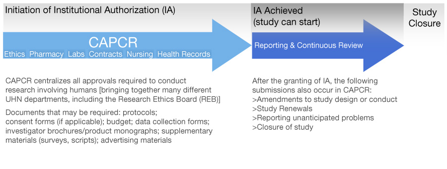 summary diagram administrative process