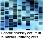 Genetic diversity occurs in leukaemia-initiating cells.