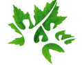 CIHR Logo