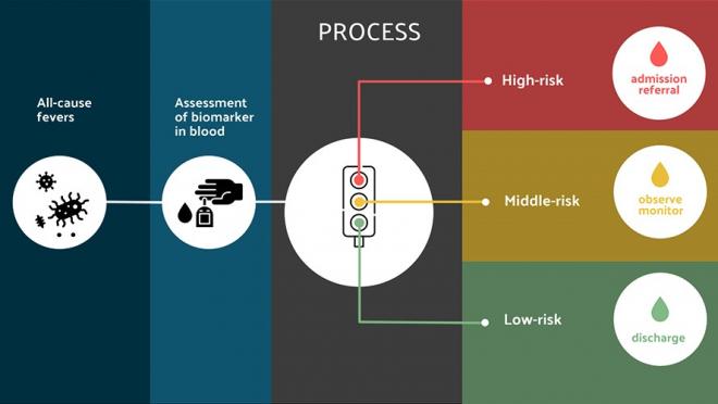 Graphic illustrating the process of triaging patients with fevers using the novel blood test.