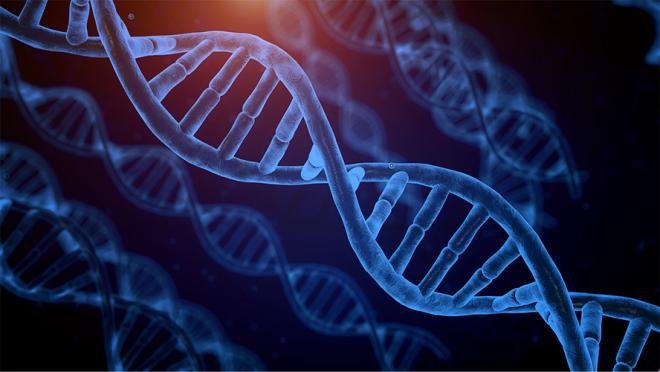 illustration of blue DNA strands wound into helixes on a darker blue background