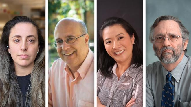Headshots of authors (L-R): Drs. Layla Pires, Vanderlei Bagnato, Cristina Kurachi, and Brian Wilson